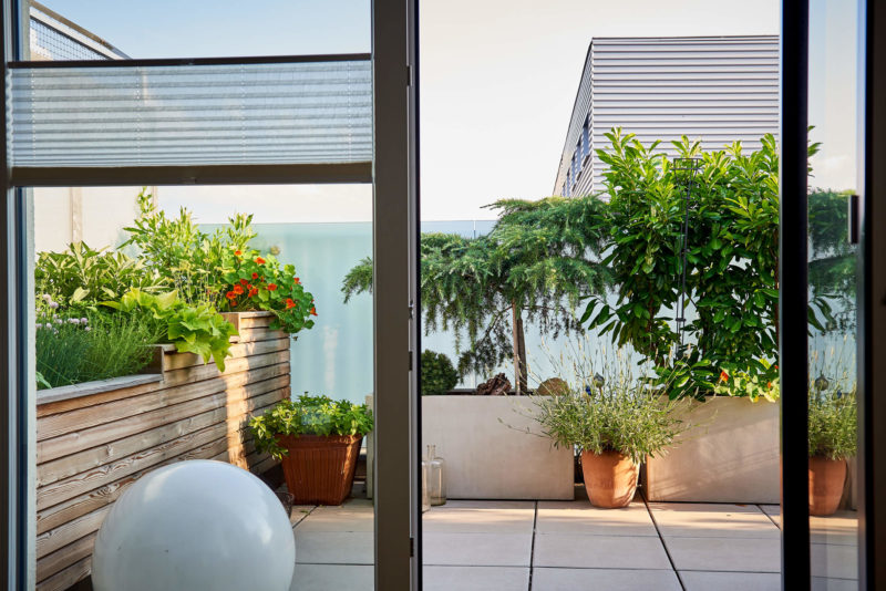 Ansicht der Dachterrasse von Innen