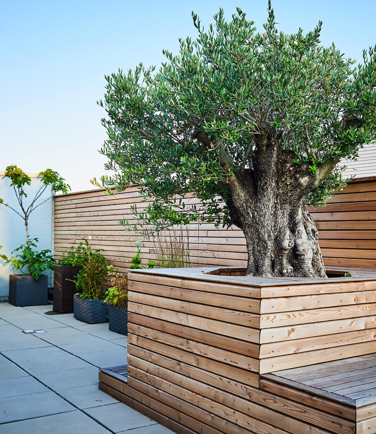 Dachterrassengestaltung TulpenBaum Holzbau