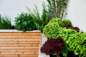Hochbeet auf einer Dachterrasse