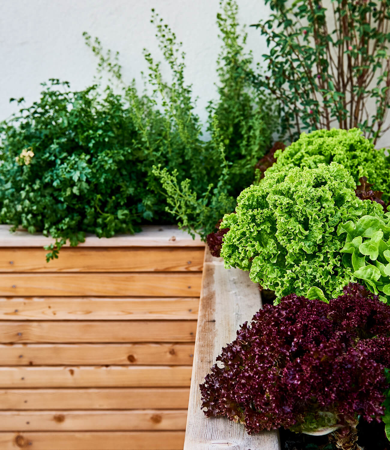 Dachterrasse mit Hochbeet