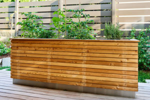 Hochbeet aus Holz mit Pflanzen