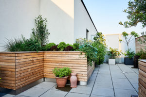 Begrünte Dachterrasse im Herzen Wiens mit verschiedenen Hochbeeten