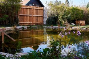 Blick auf einen idyllischen Gartenteich mit dahinterstehender Holzwand